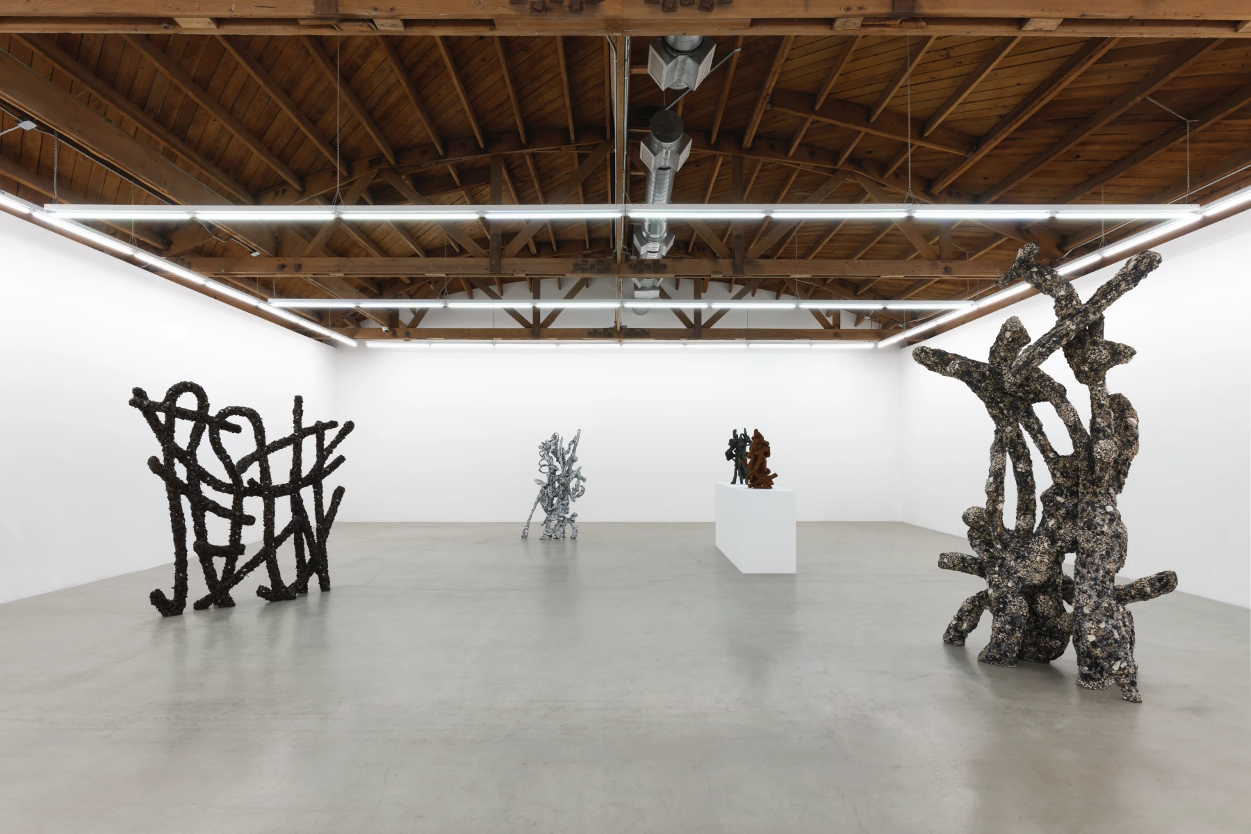 Image for Nabilah Nordin: Primary Matter, at parrasch heijnen