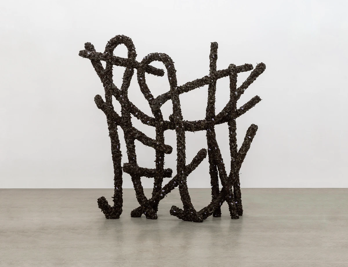 Nabilah Nordin, Vocabulary, 2024