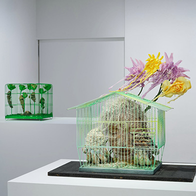 Hauser & Wirth