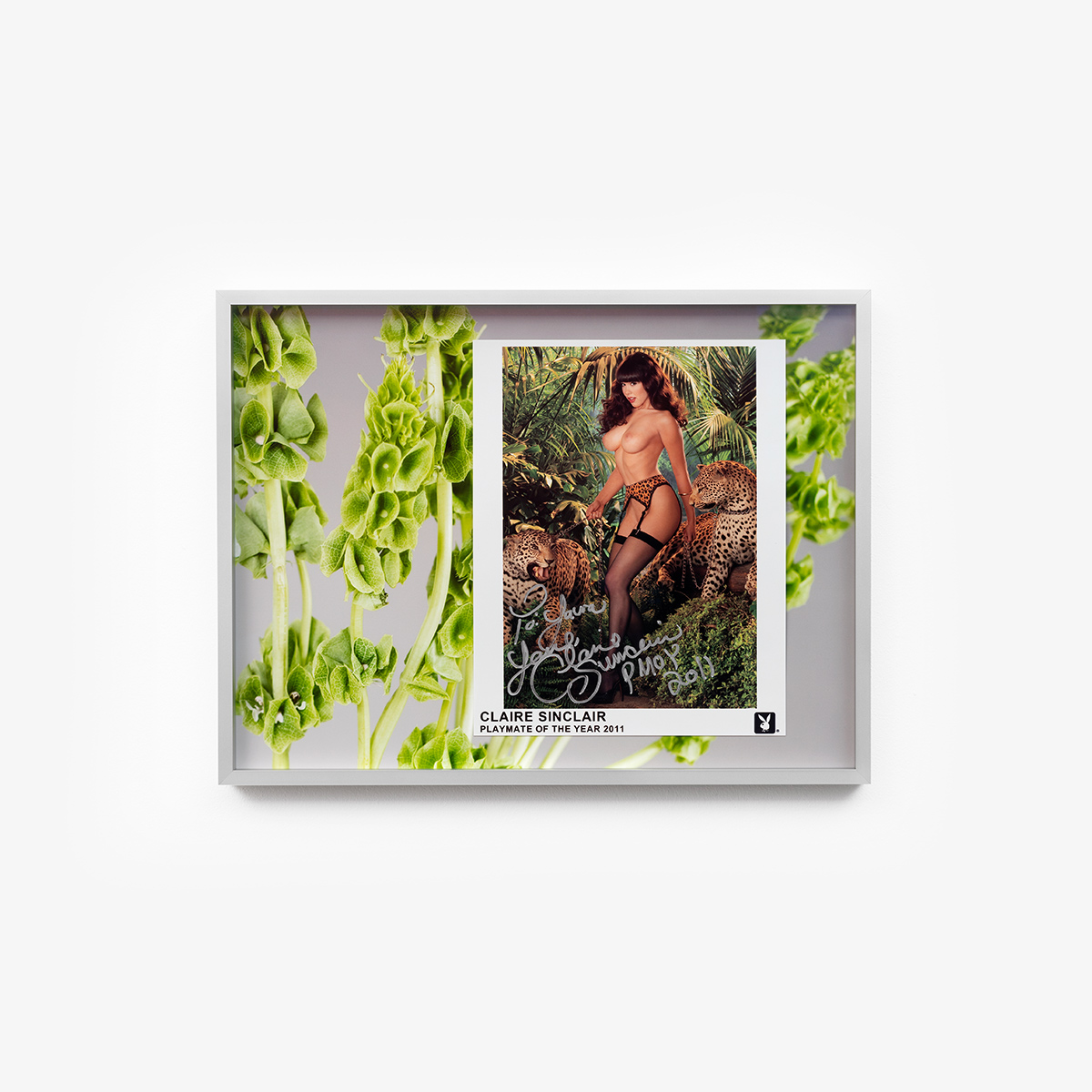 Claire Sinclair Autograph, 2015/2024