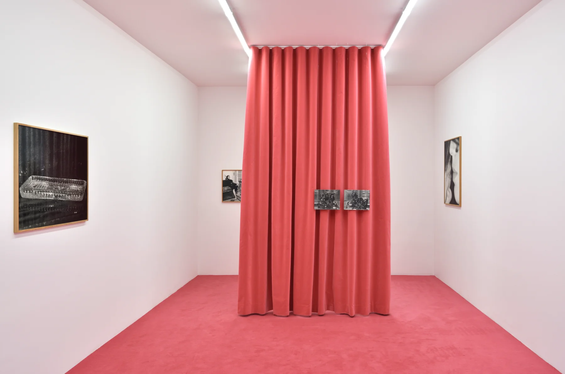 Image for Joanna Piotrowska, at Galerie Marian Goodman