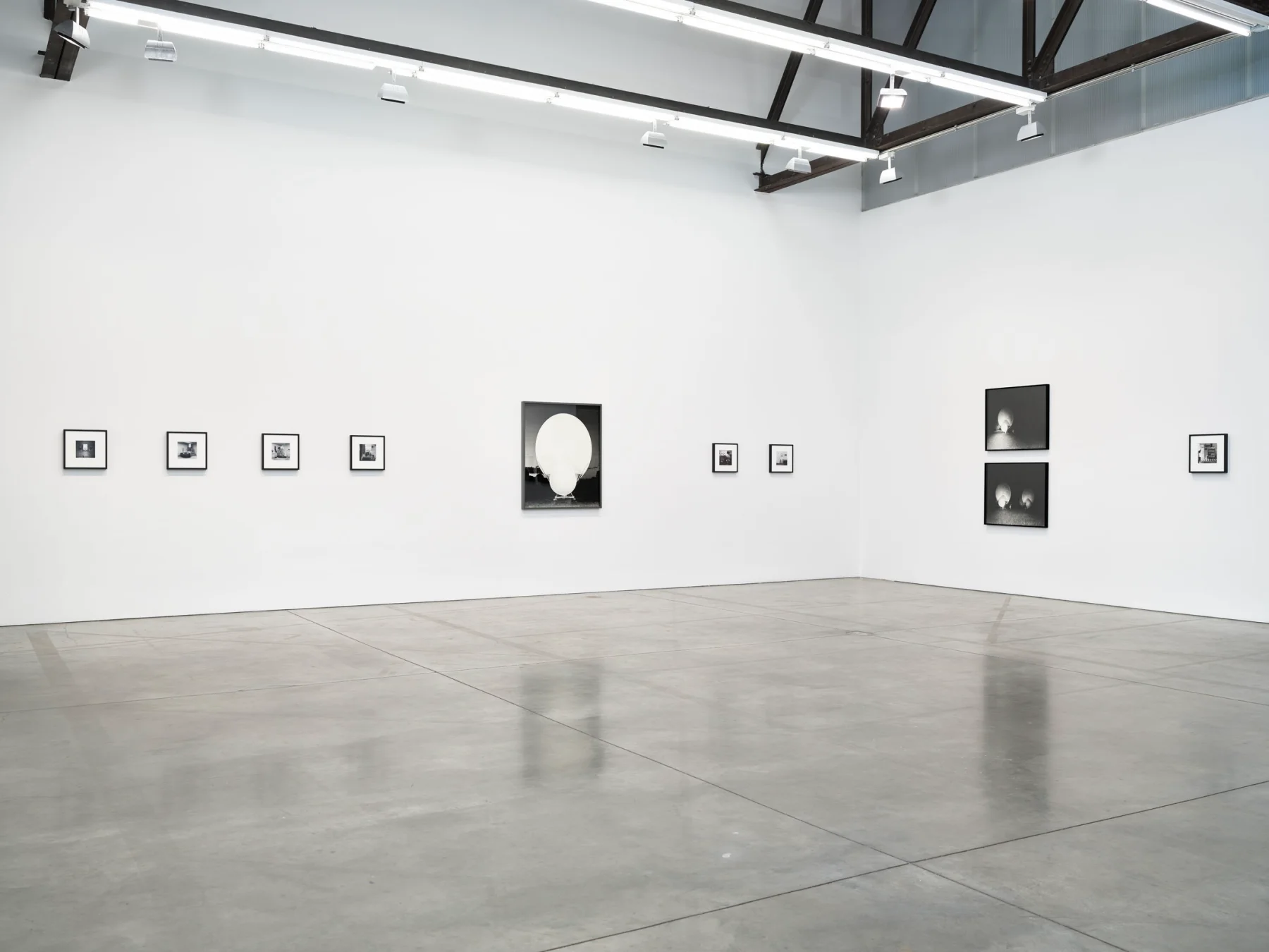 Image for Joanne Leonard and Brittany Nelson, at Luhring Augustine Chelsea