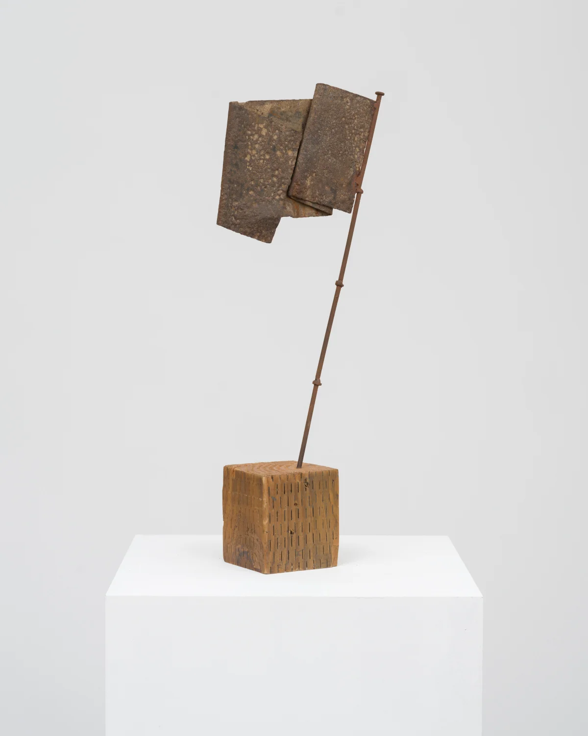 Jimmy Centeno, Earth Colored Flag, 2009