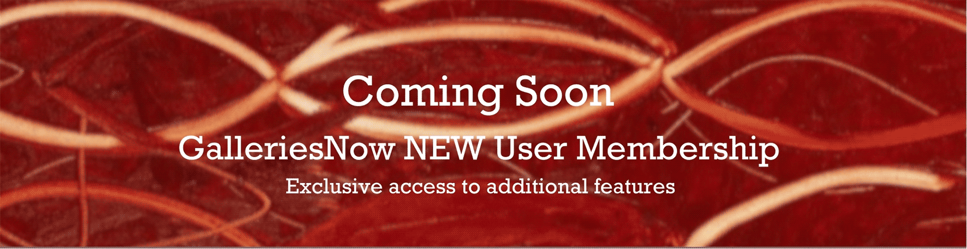 Coming Soon - GalleriesNow.net User Membership