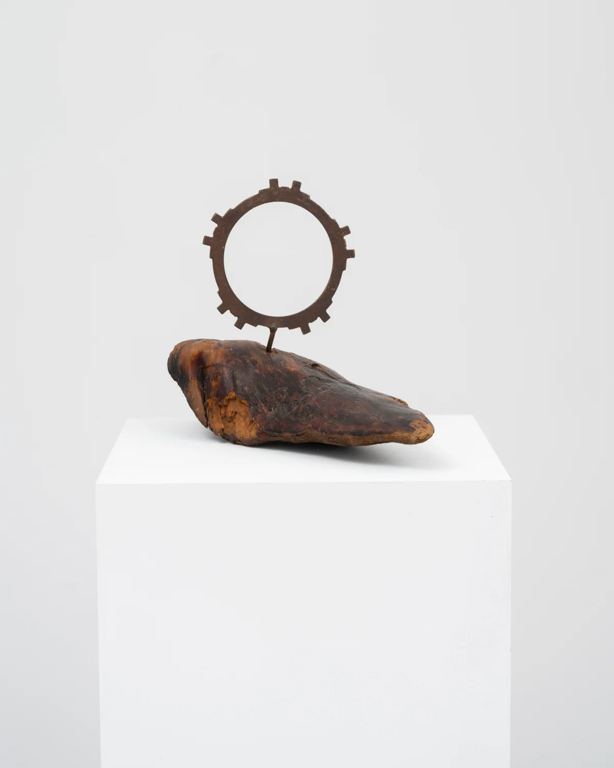 Jimmy Centeno, Metamorphosis: Homage to Franz Kafka, 2012