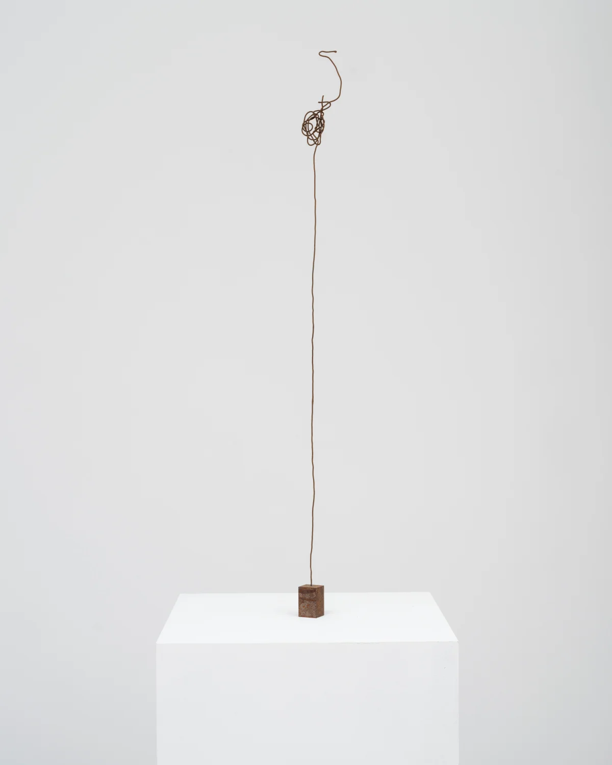 Jimmy Centeno, Ostrich With Head Above The Sand, 2008