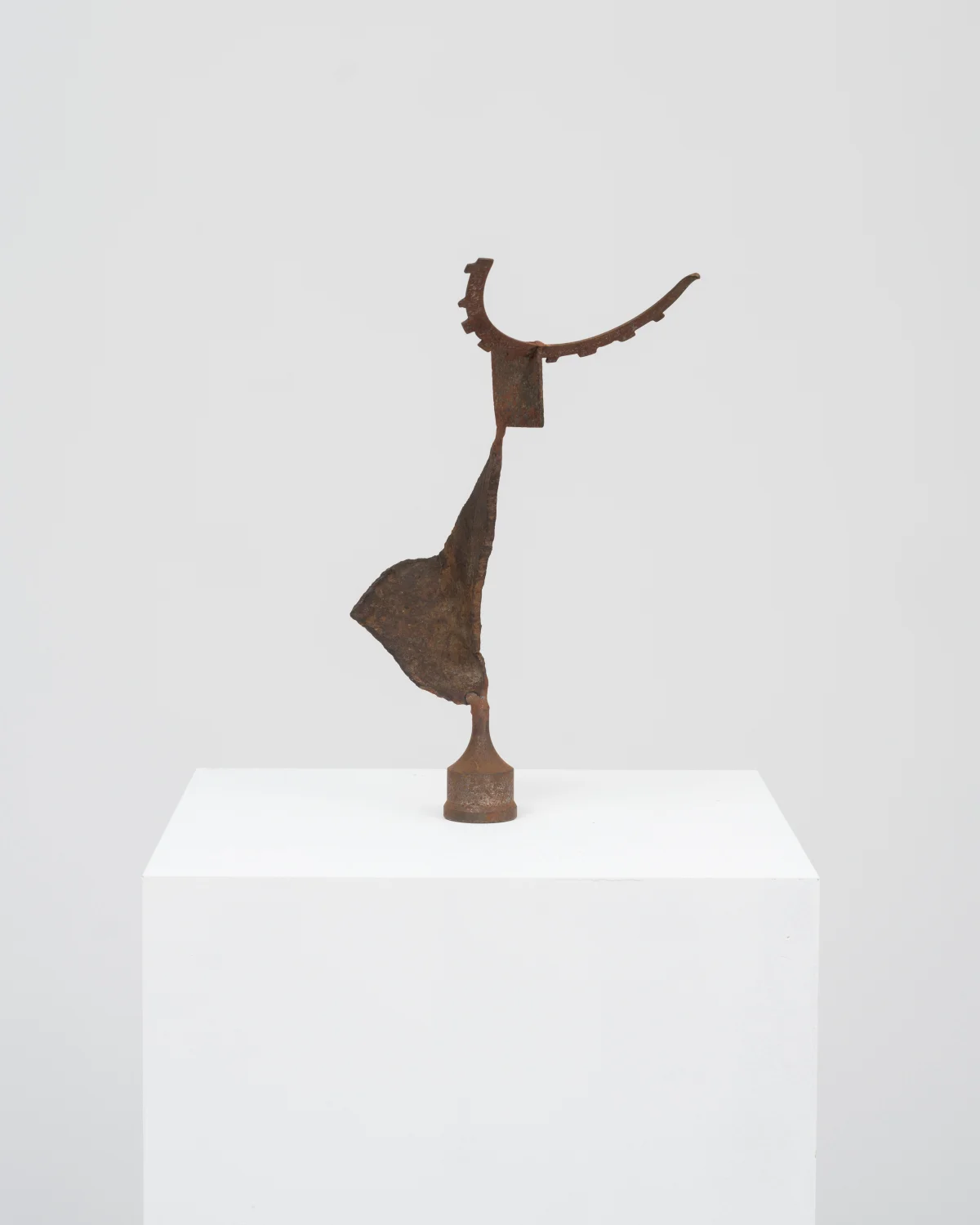 Jimmy Centeno, Una Hormiga Cantante (A Singing Ant), 2007