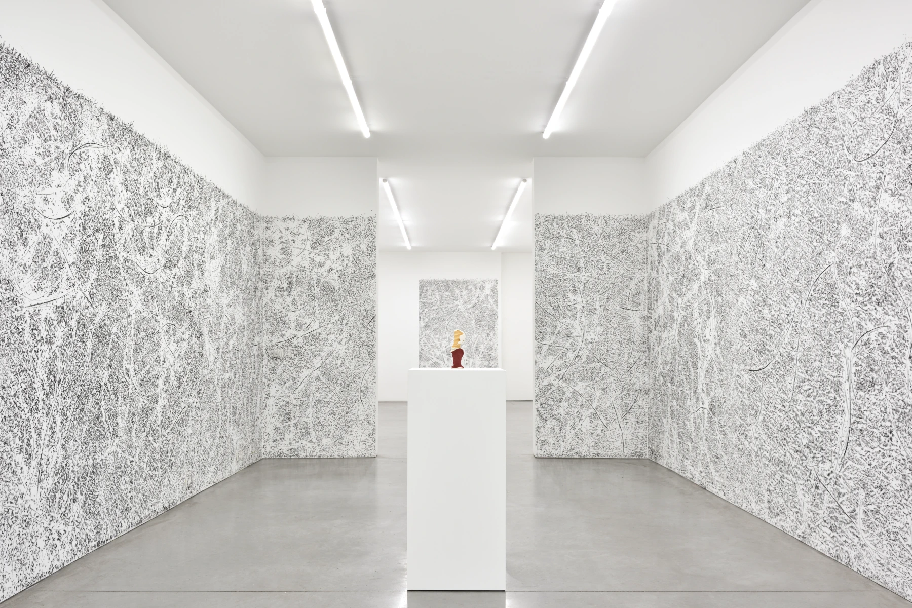 Image for Giuseppe Penone: envelopper la Terre, at Galerie Marian Goodman