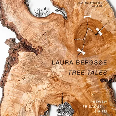 Image from Laura Bergsøe: Tree Tales, at Galerie Maria Wettergren