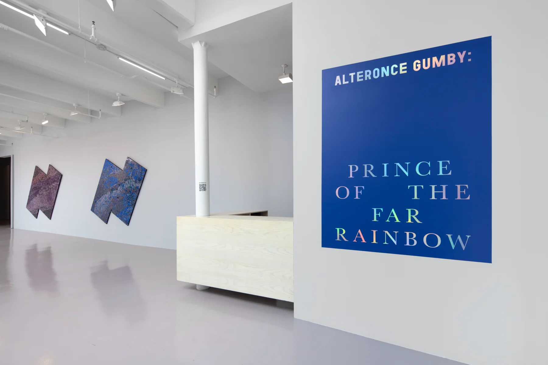 Image for Alteronce Gumby: Prince of the Far Rainbow, at Nicola Vassell Gallery