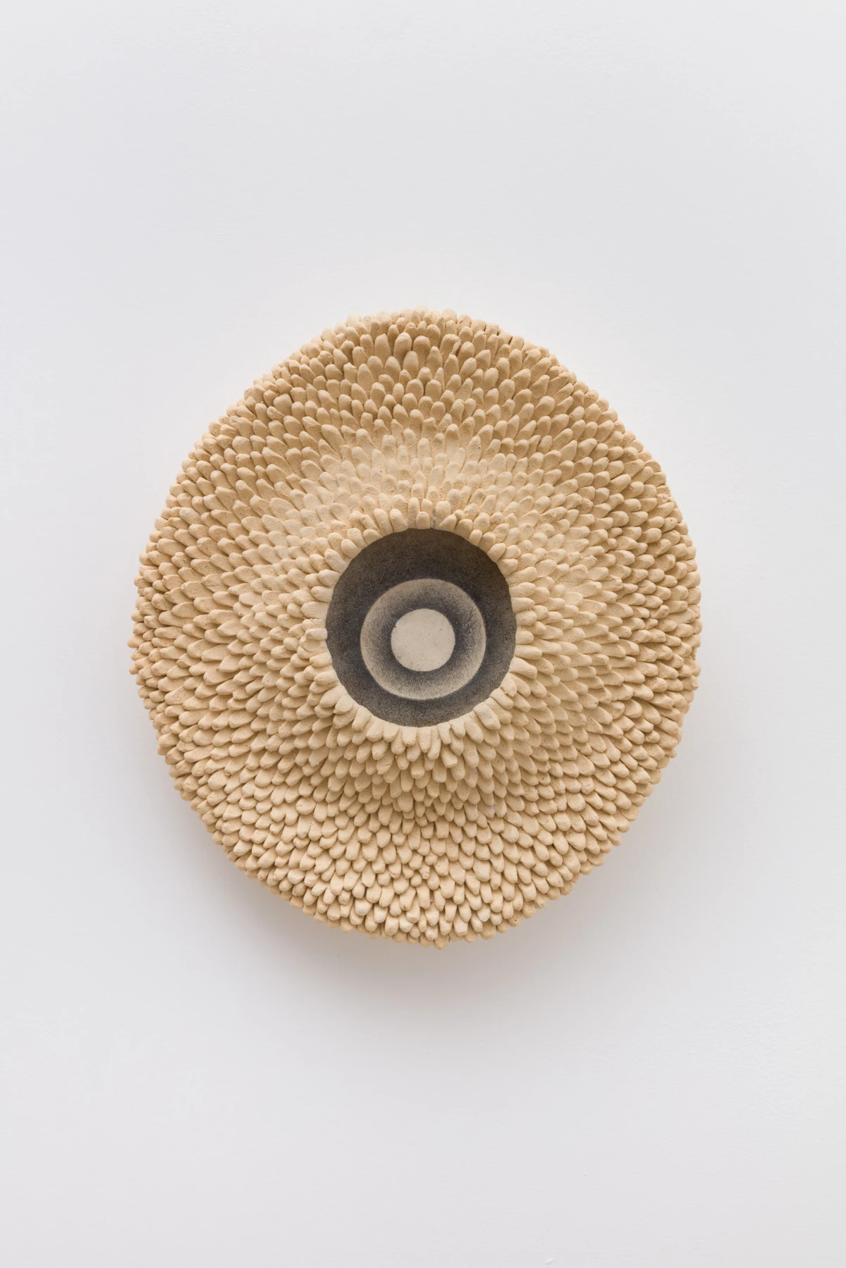 Ayla Tavares, coral 4, 2024