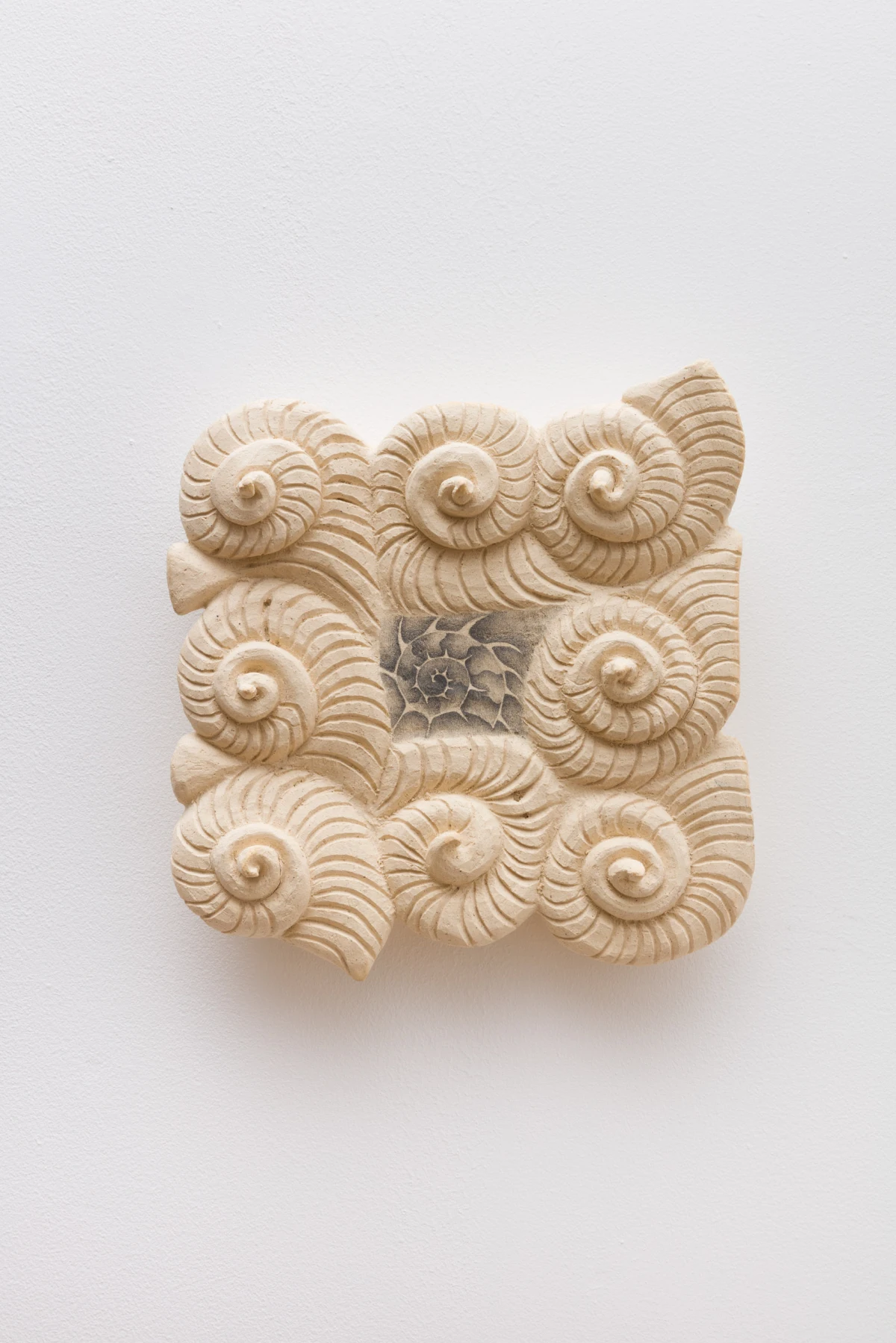 Ayla Tavares, fossil 6, 2024