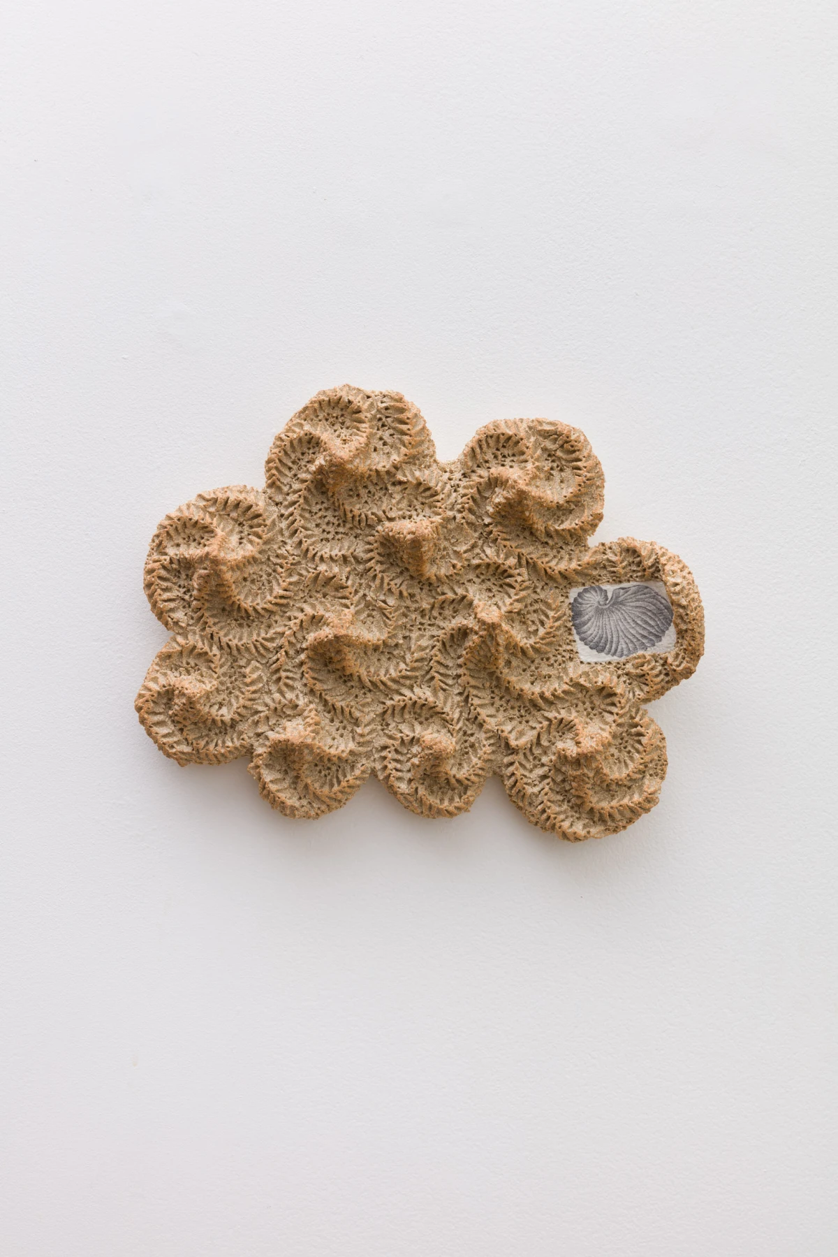 Ayla Tavares, sand 5, 2024