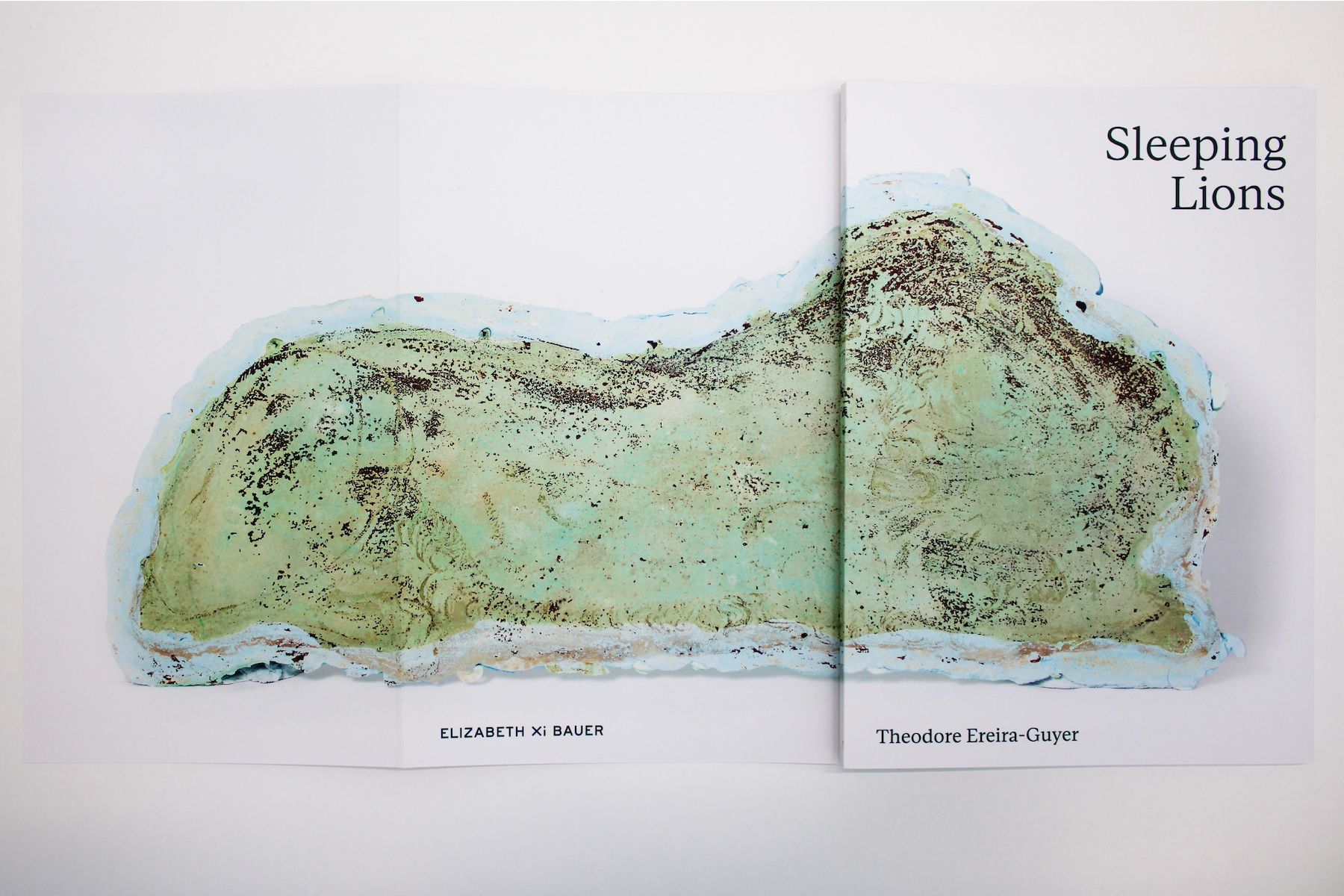buy Theodore Ereira-Guyer: Sleeping Lions, published by Elizabeth Xi Bauer Gallery