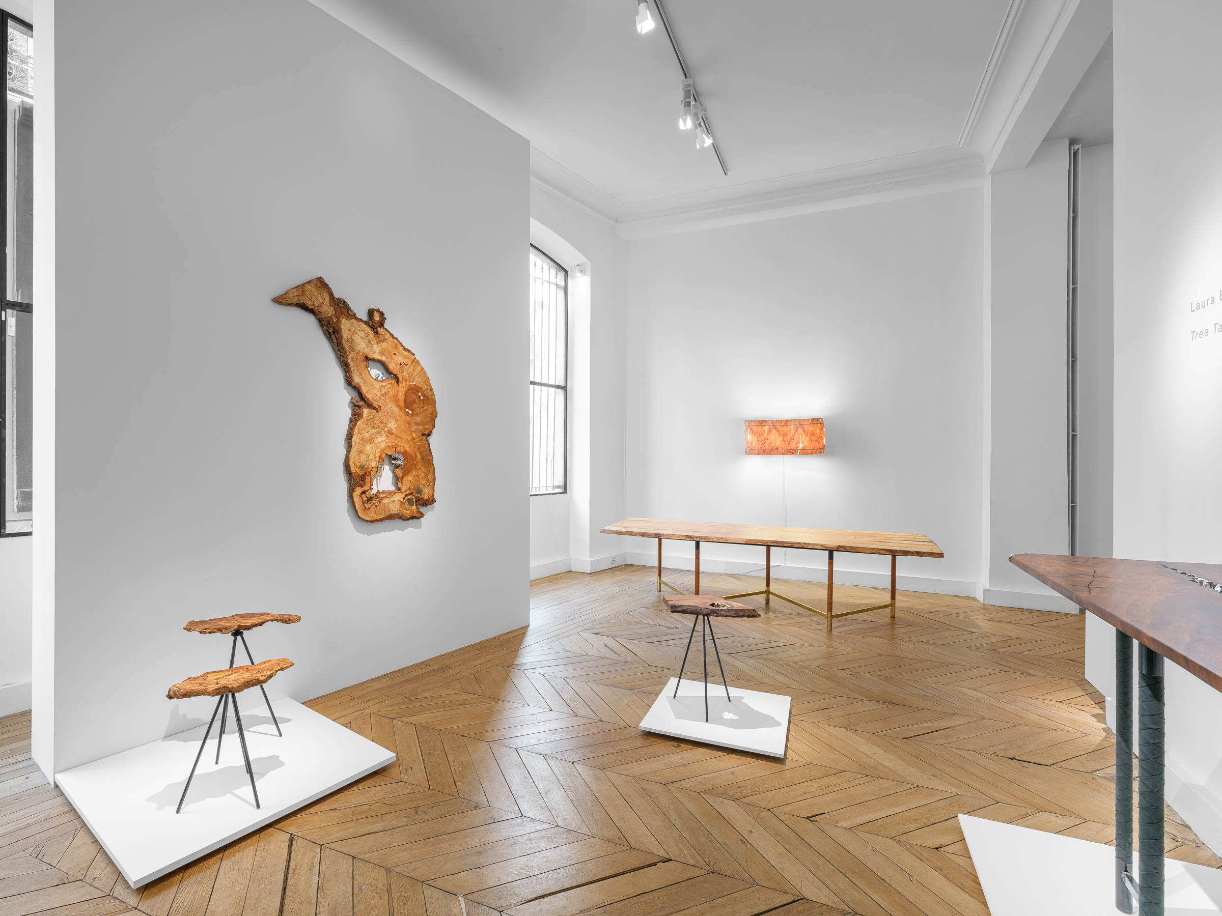 Image for Laura Bergsøe: Tree Tales, at Galerie Maria Wettergren