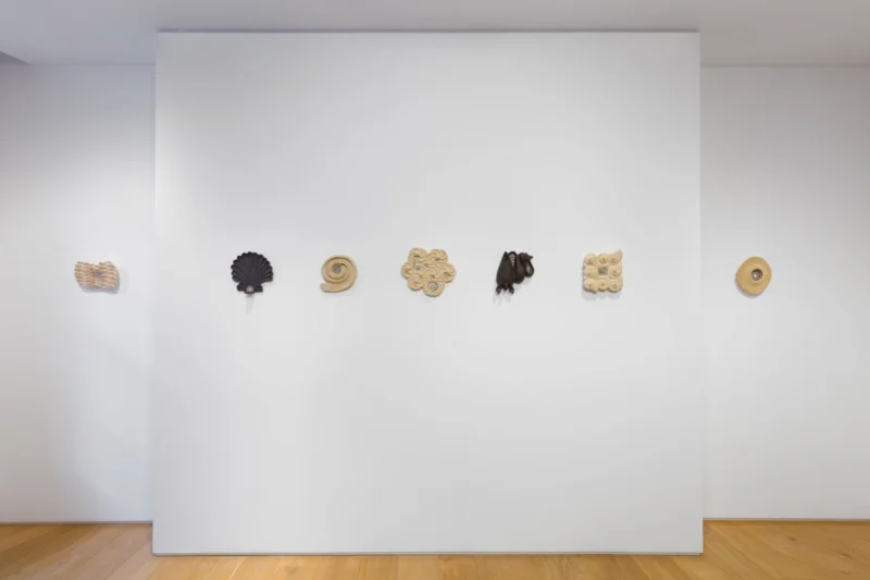 Image for Ayla Tavares: Earendel, at LAMB