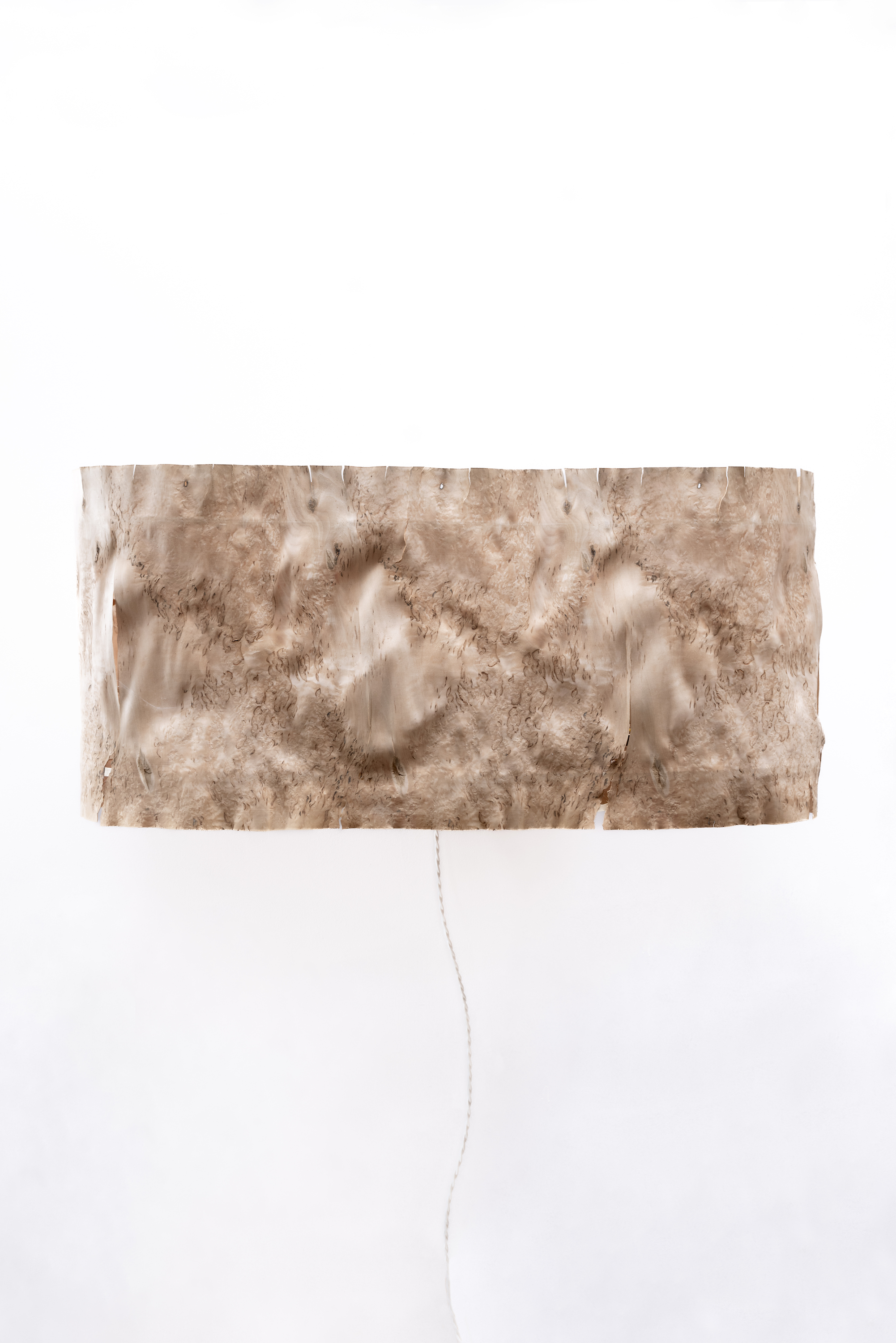 Laura Bergsøe, Birch Soul Sconce, 2024