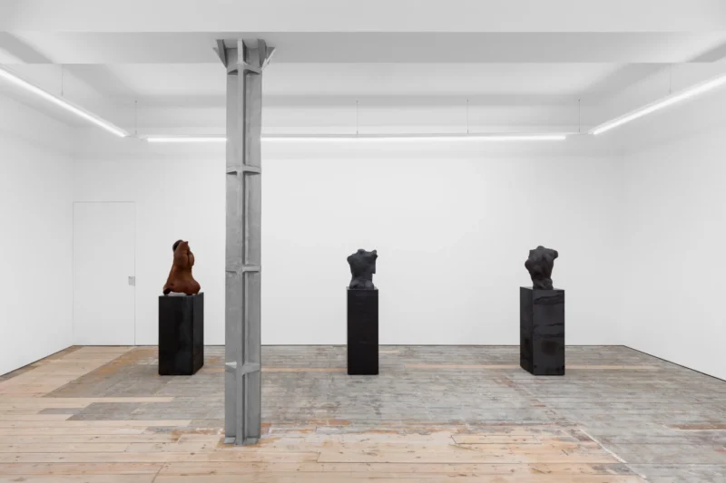 Image for Hugo Servanin: Environment 12, at NıCOLETTı