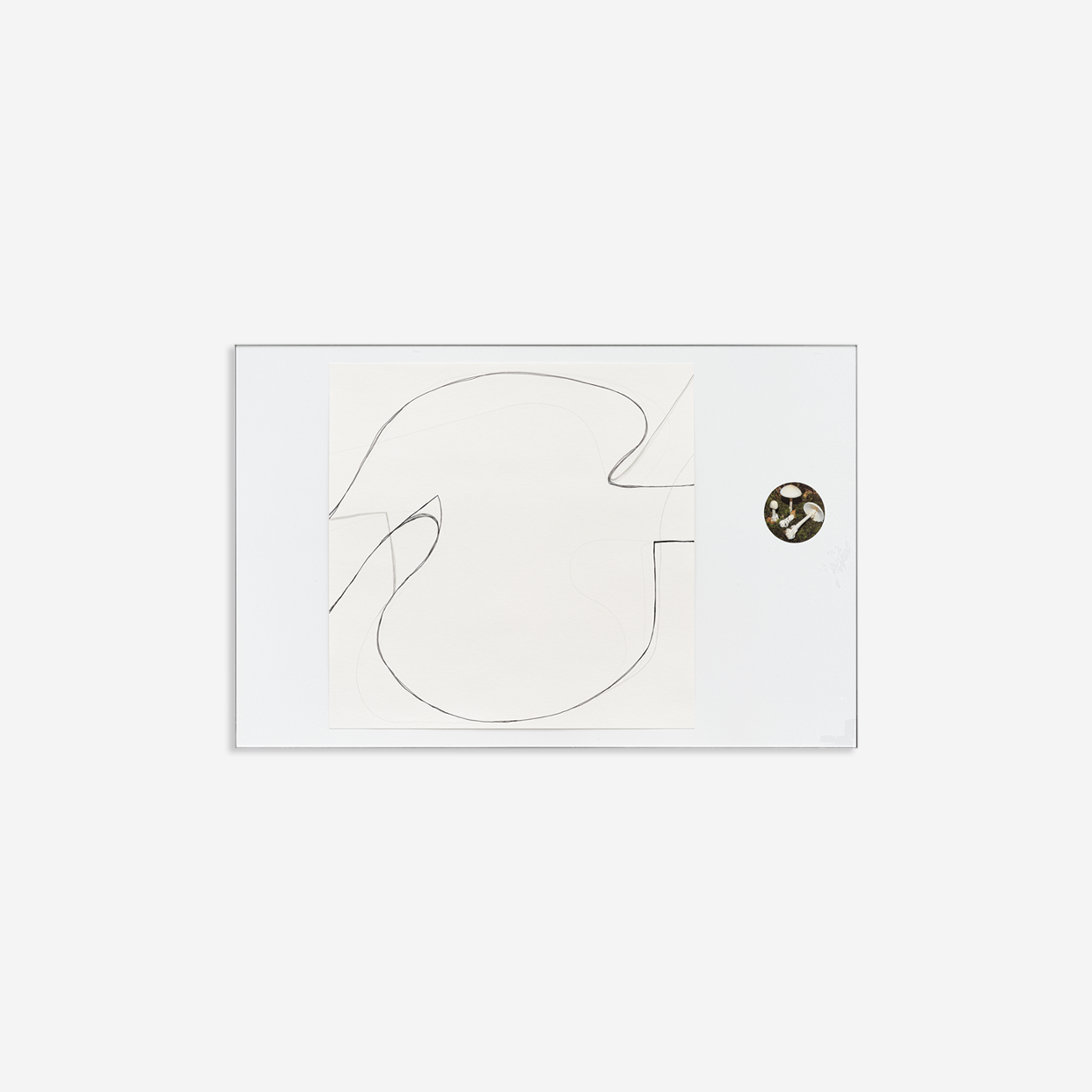 field studies (networks) No. 10