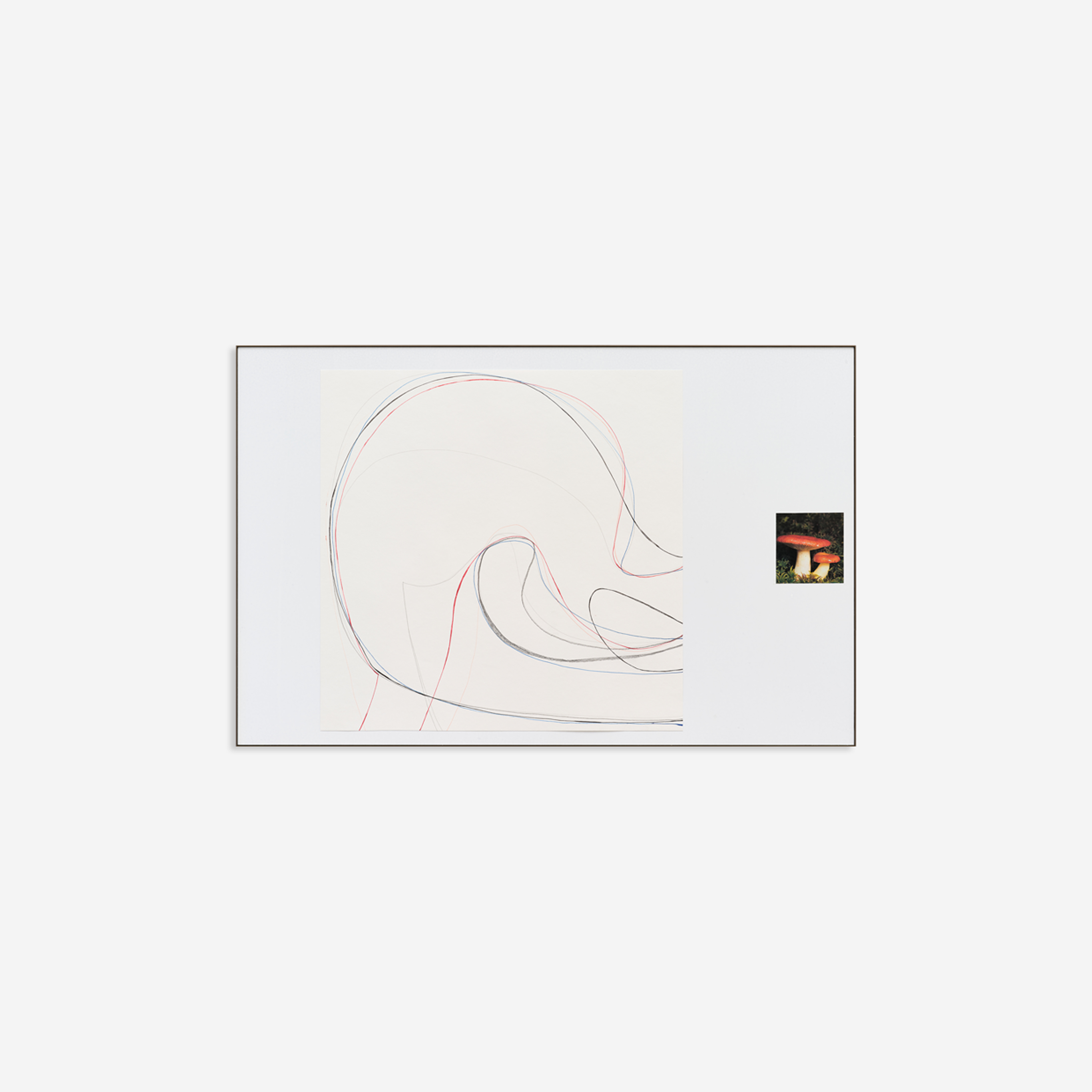 field studies (networks) No. 02
