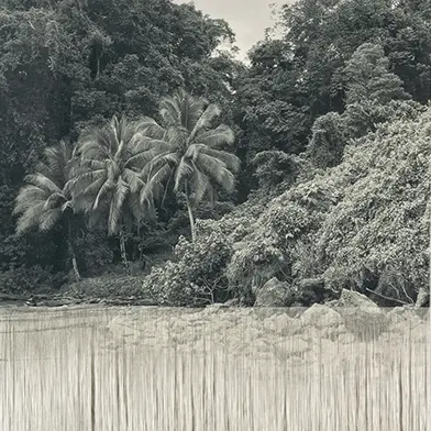 Image from Ana Gonz&aacute;lez: Bruma, at Sean Kelly Gallery