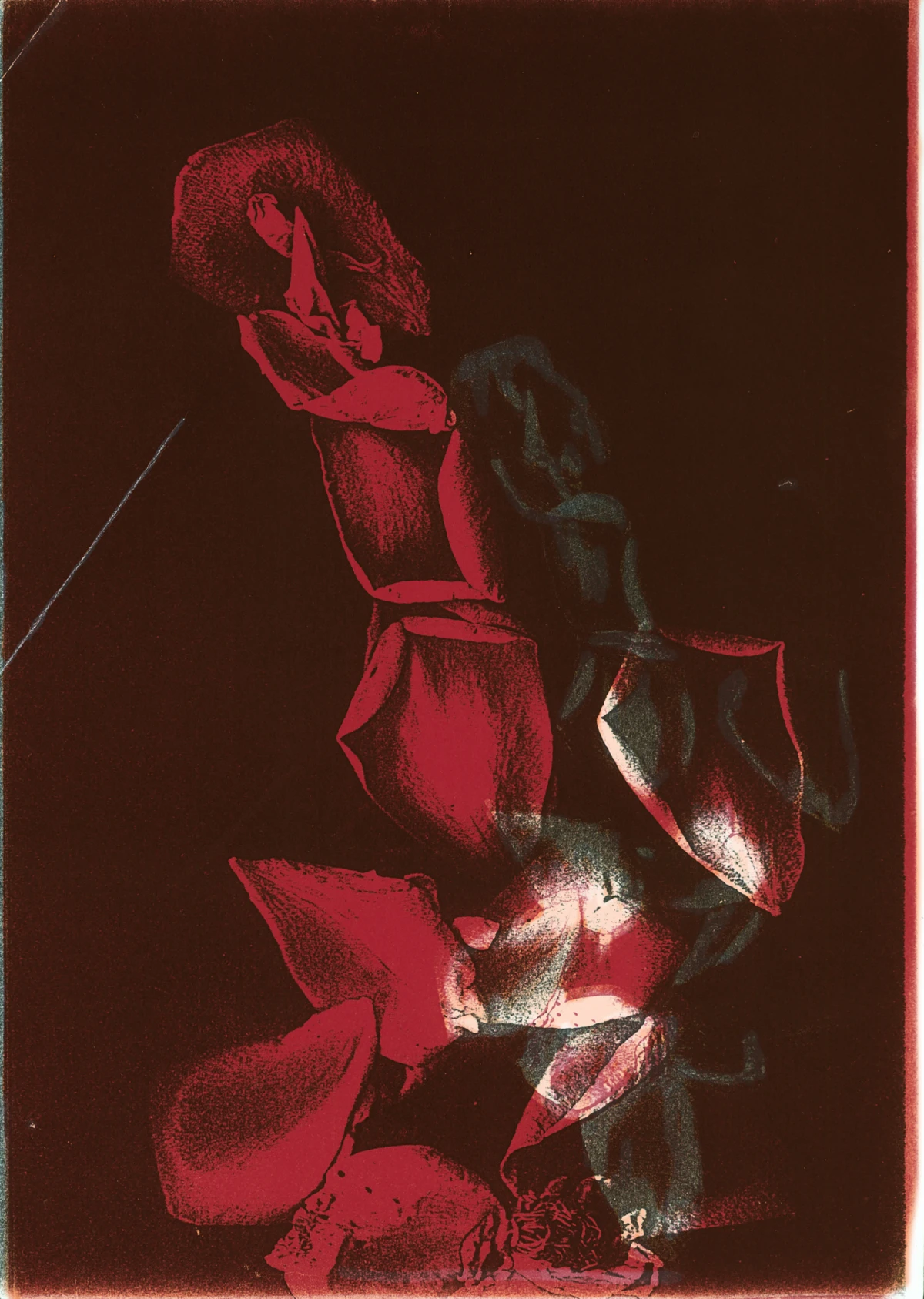 Pati Hill, Pati Hill, Wolfgang Tillmans, Pati Hill, Wolfgang Tillmans, Wolfgang Tillmans, Wolfgang Tillmans & Pati Hill, Untitled (red petals), c. 1990