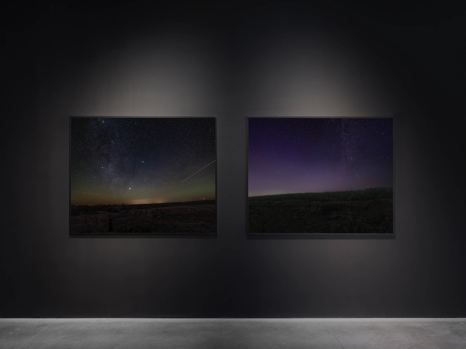 Image for An-My Lê: Dark Star/Grey Wolf, at Marian Goodman Gallery