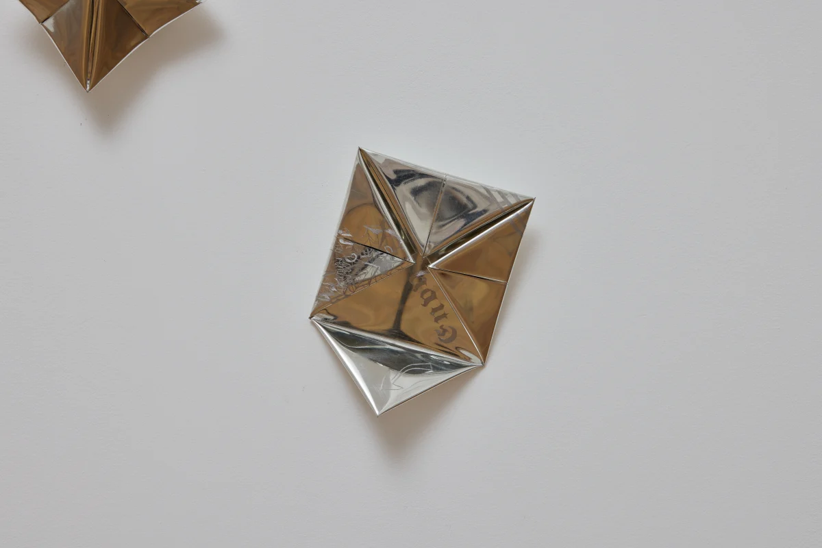 Georgina Odell, Fixed Fortune, Envy, 2024