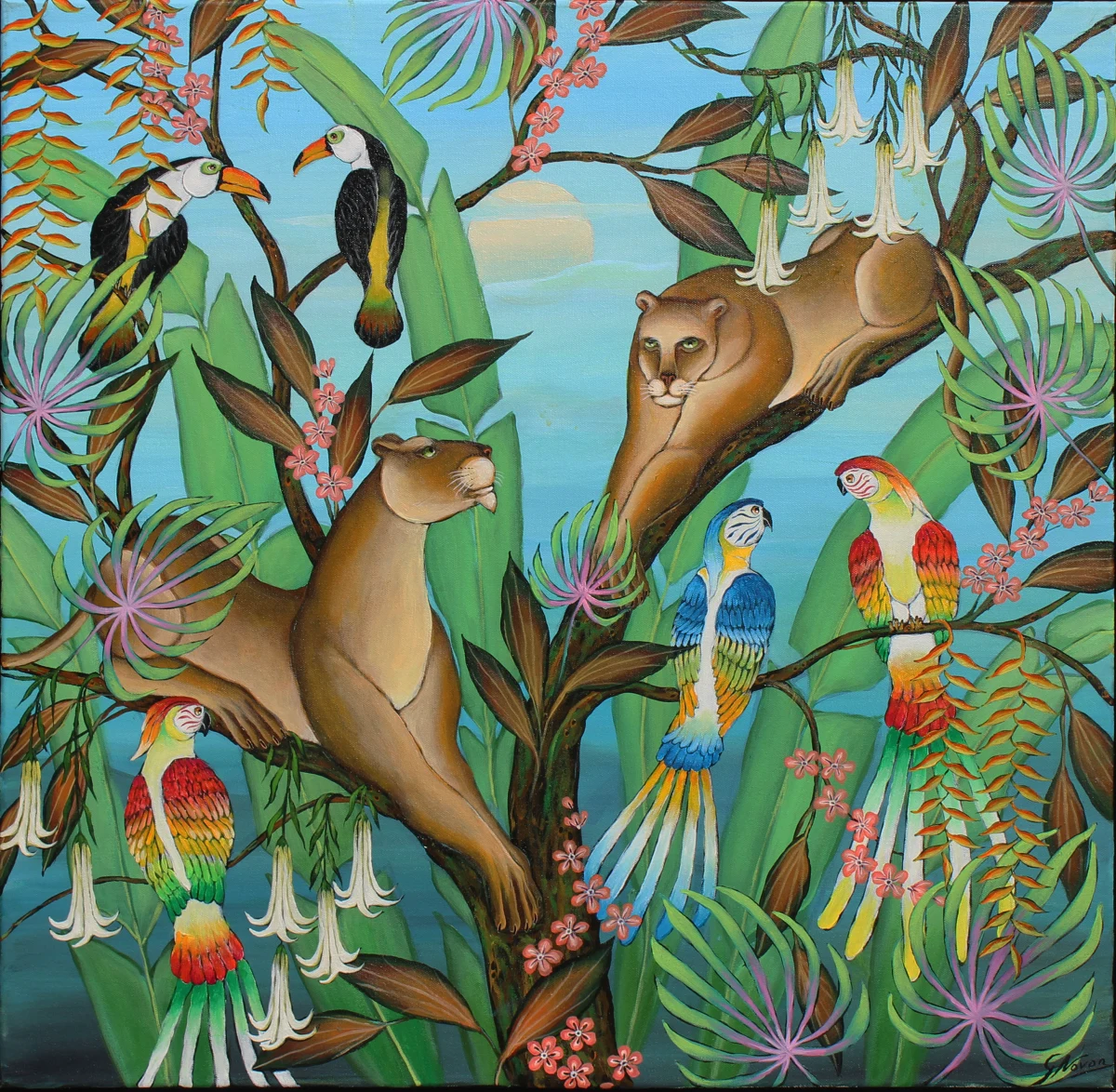 Gustavo Novoa, More Birds Advice