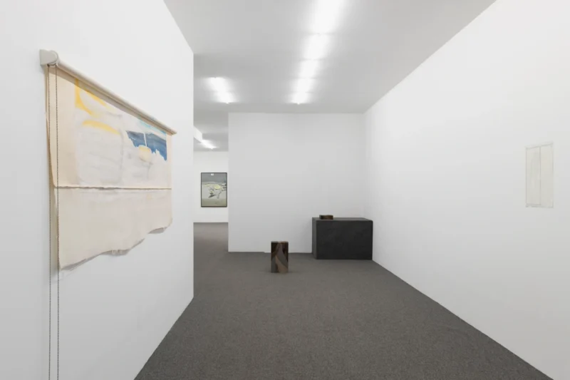 Image for An exhibition organized by Samuel Hindolo, at Galerie Buchholz