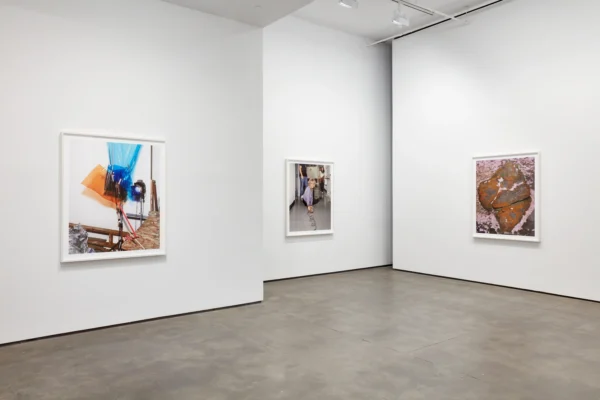 Alec Soth: Advice for Young Artists @Sean Kelly Gallery, New York  - GalleriesNow.net 