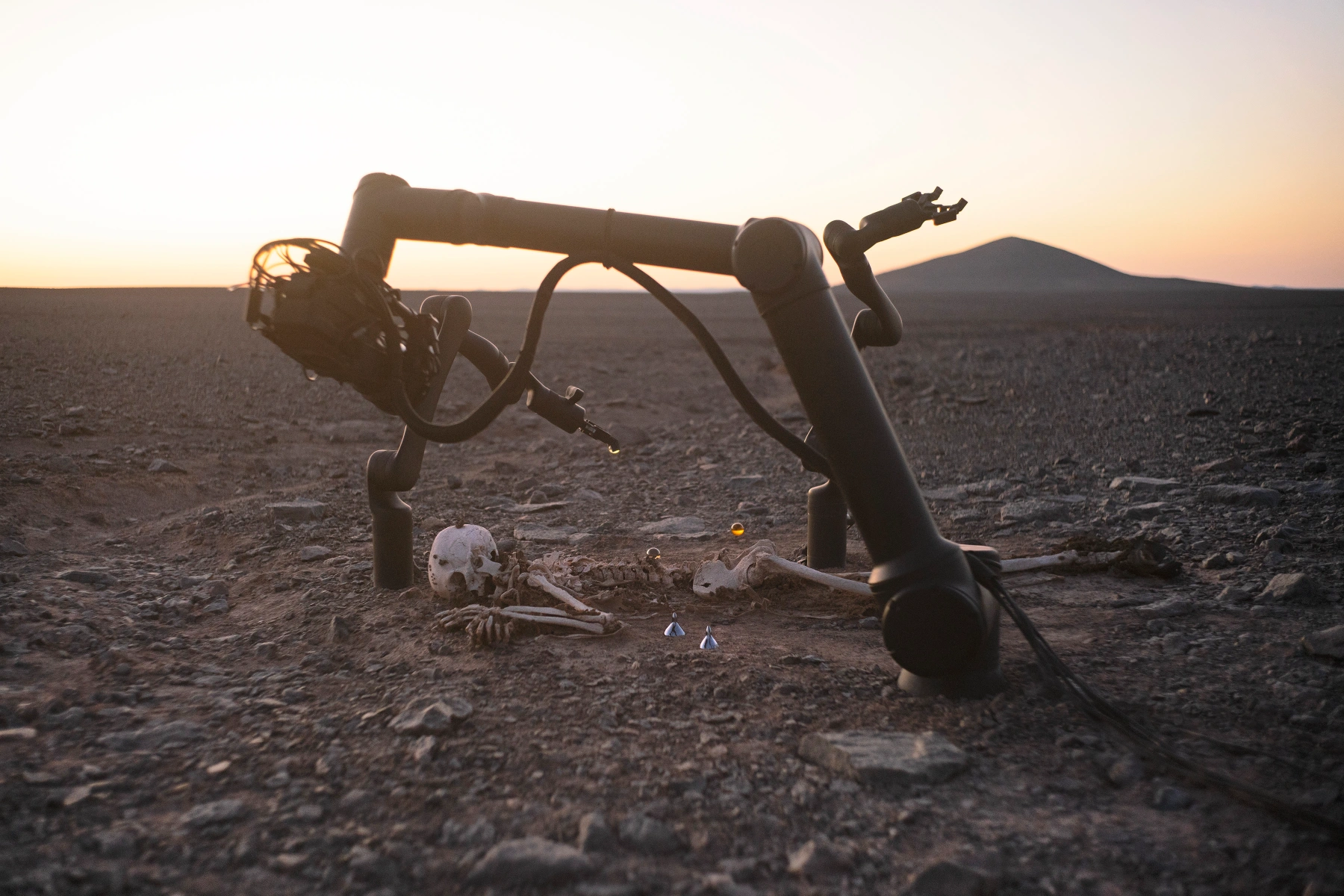 Image for Pierre Huyghe: Spirits, at Marian Goodman Gallery