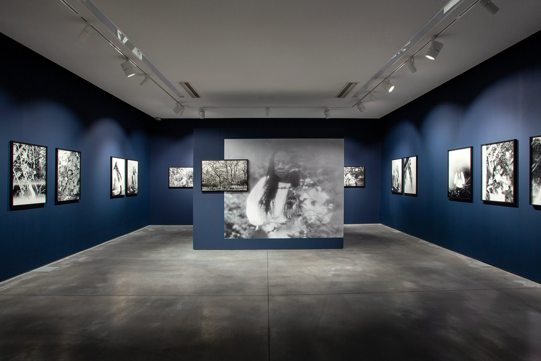 Image for Dianne Minnicucci: Belonging and Beyond, at Autograph