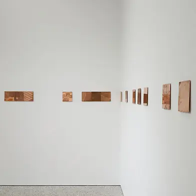 Image from Anna Júlía Friðbjörnsdóttir: ECHO LIMA, at BERG Contemporary