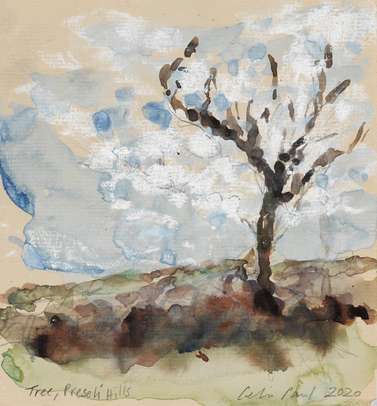 Celia Paul, Tree, Preseli Hills, 2020