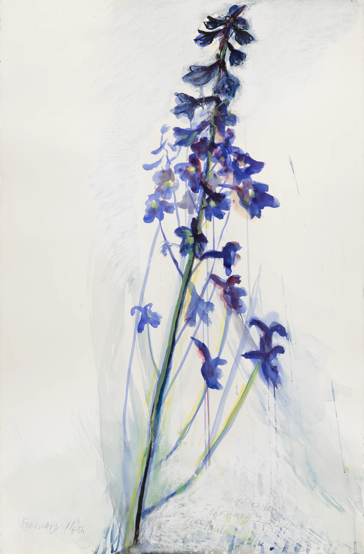 Celia Paul, Delphinium, February 14th, 2024
