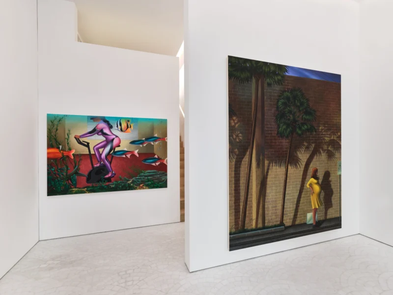 Image for Julie Curtiss: Suburban Lawns, at Gagosian, rue de Castiglione