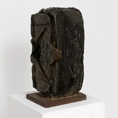 Image from César: Focus #1, at Galerie Georges-Philippe & Nathalie Vallois