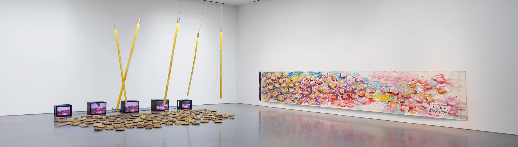 Image for our show of the day, Carolee Schneemann, at Lisson Gallery