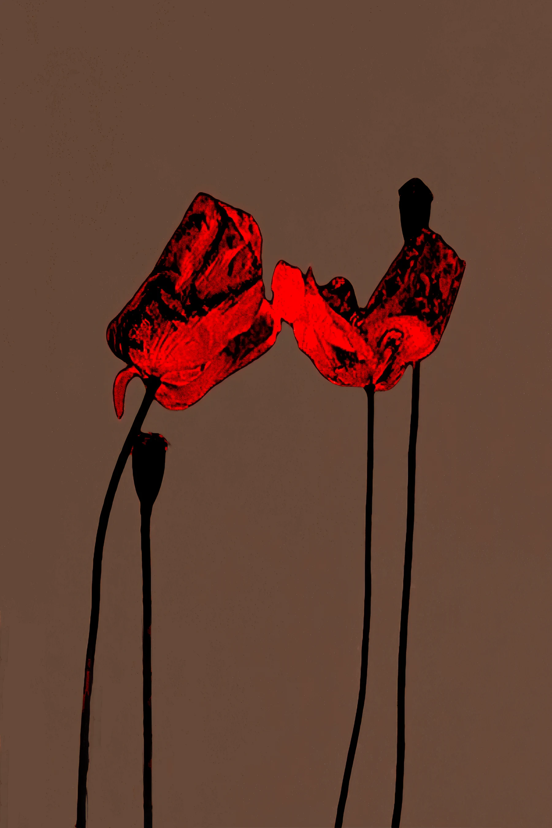 Image for Michal Rovner: Pragim, at Pace, London