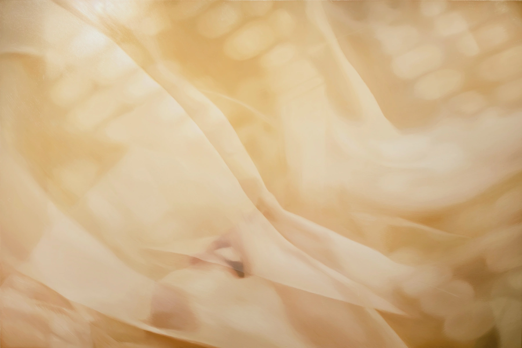 Image for Sentire: You Are the April Sky, at Upsilon Gallery