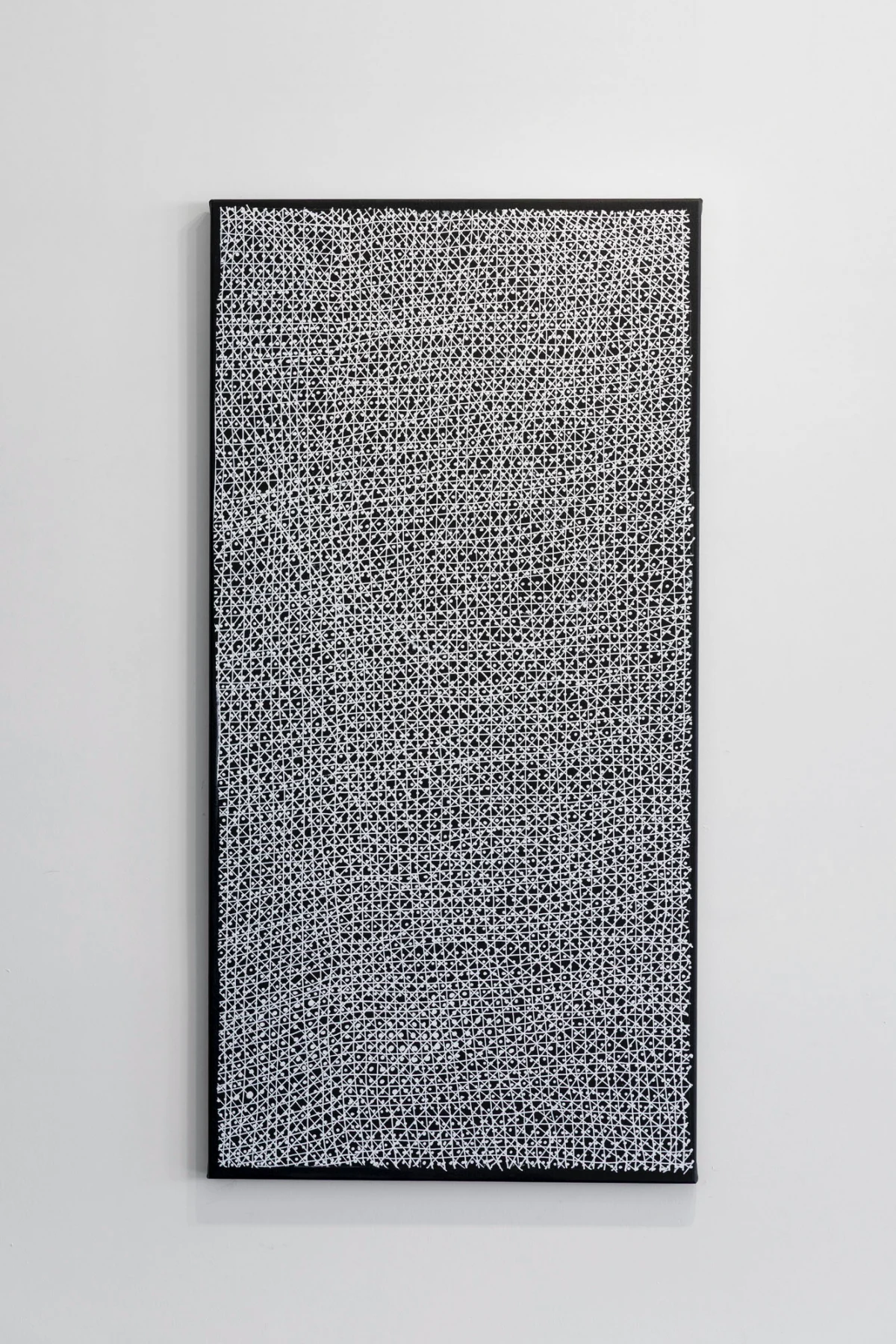 Kieren Karritpul, Fish Net – Walipan, 2024-5