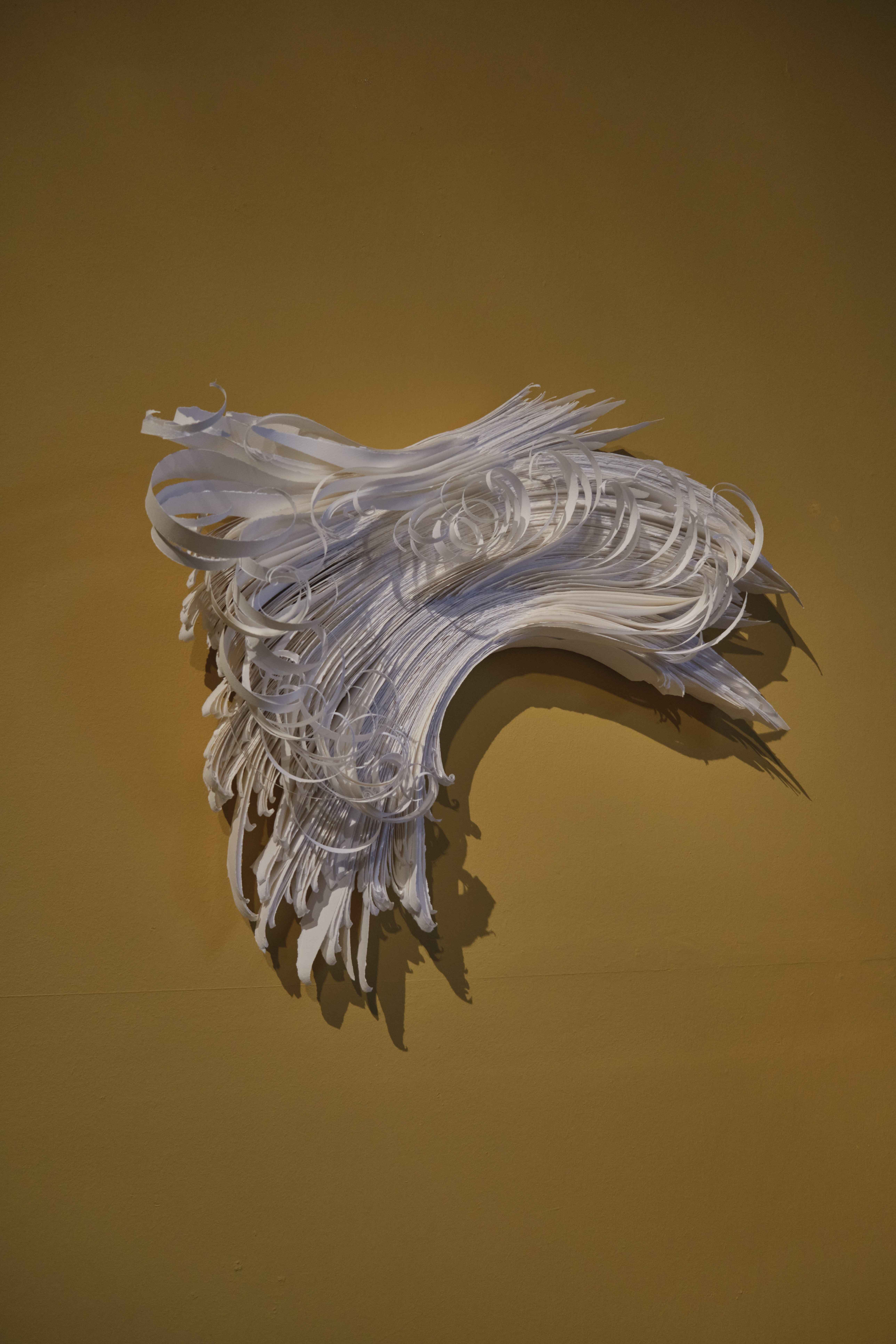 Angela Glajcar, Paperwall