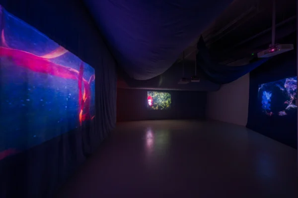 Ulla von Brandenburg: Shadows under water @Barakat Contemporary, Seoul  - GalleriesNow.net 