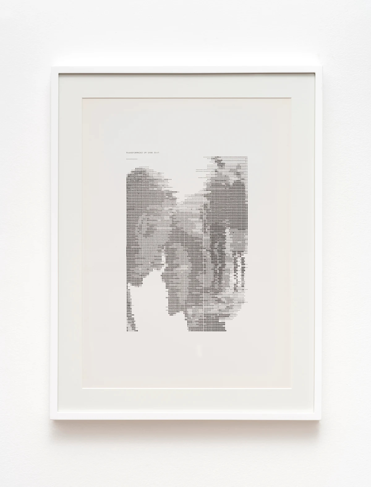 Waldemar Cordeiro, Derivatives of an Image: Transformation in Degree 0, 1969