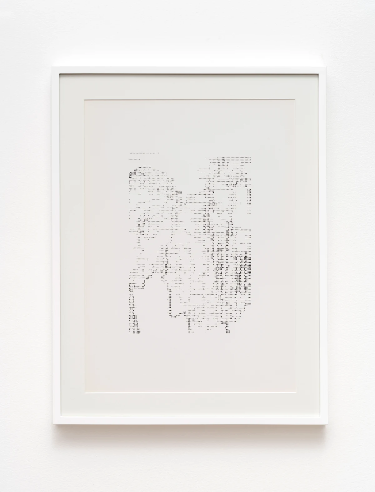 Waldemar Cordeiro, Derivatives of an Image: Transformation in Degree 1, 1969