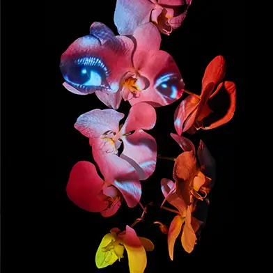 Exhibition image from the latest newsletter