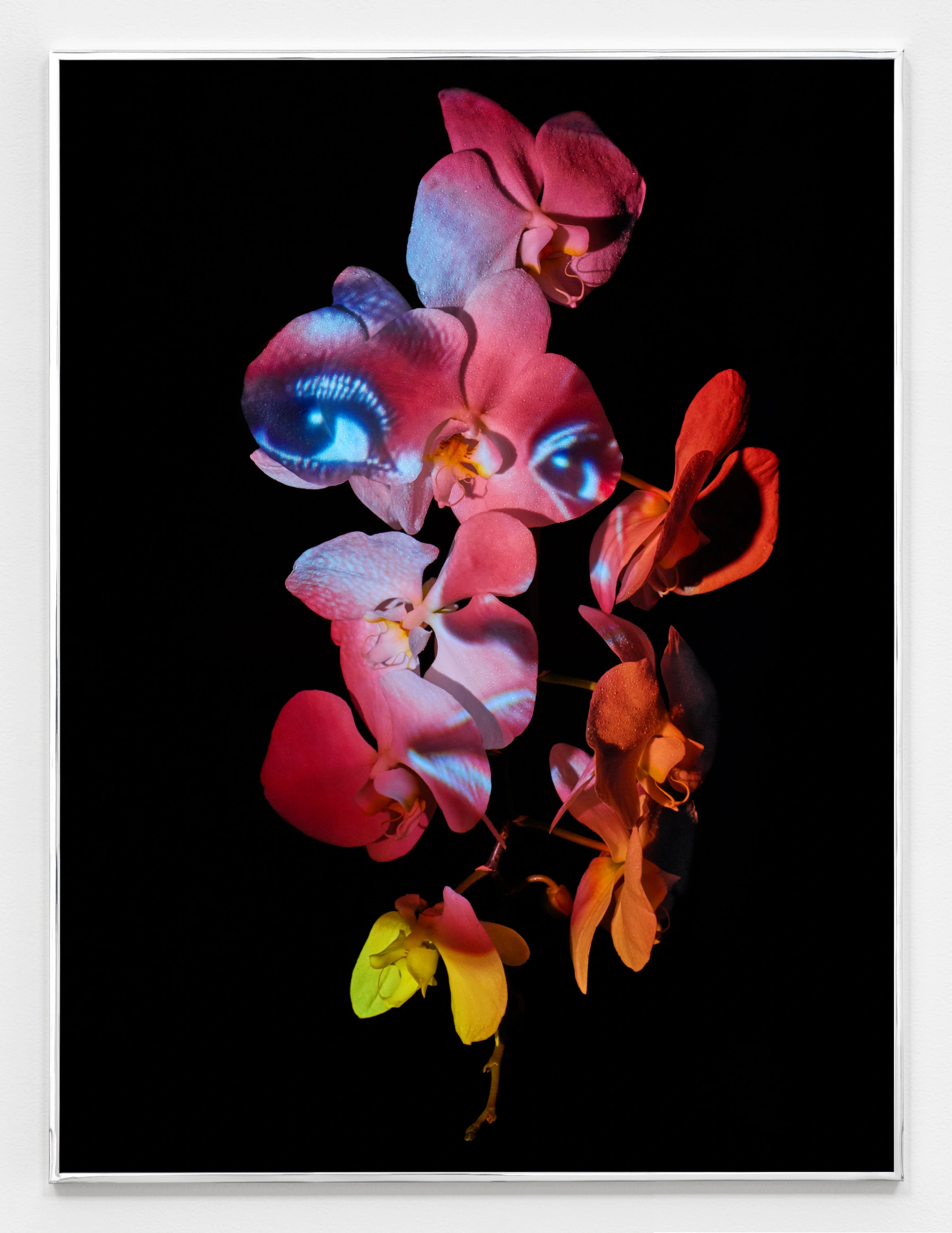 Image for Awol Erizku: Moon, Turn the Flames...Gently Gently Away, at Sean Kelly Gallery