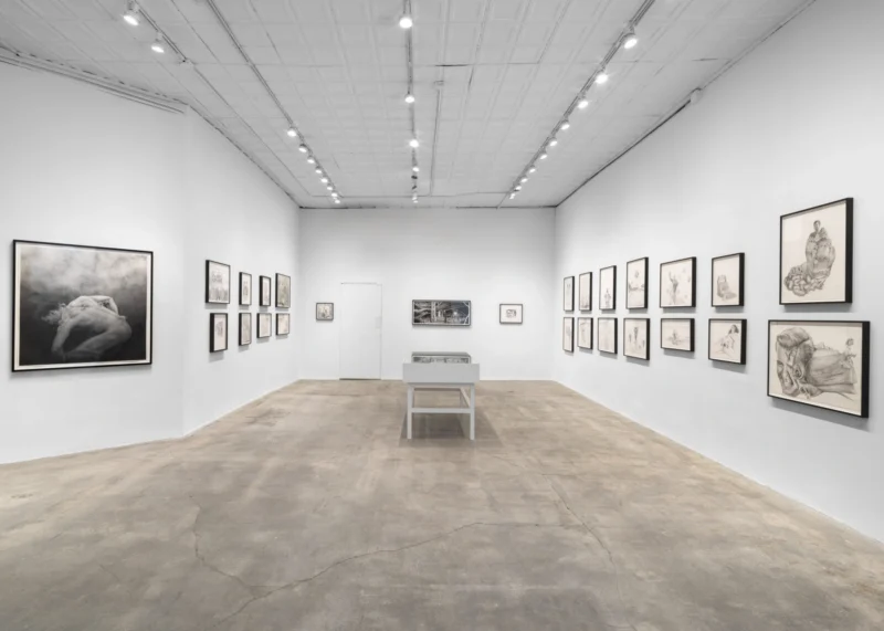 Image for Jim Shaw: Drawings, at Gagosian Park & 75