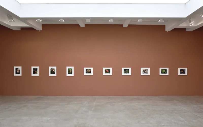 Image for Steve McQueen: Bounty, at Galerie Marian Goodman